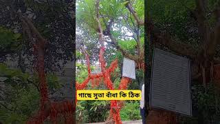 সুতা বাঁধার ফলে গাছটি ম*রে গেছে। #shorts #shortsvideo #videos #viralvideos