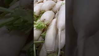 Amazing health benefit of daikon (white radish)!