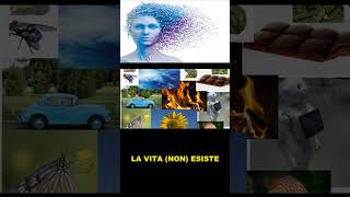 LA VITA (NON) ESISTE