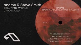 anamē & Steve Smith - Beautiful World (Unplugged)