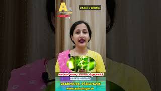 🔮Vaastu Tip for TULSI |#shorts #vaastu #astrology #youtubeshorts #trending #viral