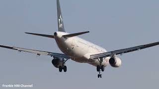 Star Alliance Airbus A321 Landing and Take Off