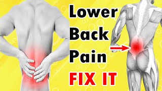 Lower Back Pain Workout at Home | How to Cure Back Pain at Home