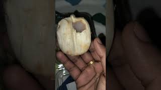 ice apple, thati munjalu #trending #food #andhra #iceapple #thatimunjalu #thatichettu #viral #shorts