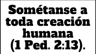 TEXTO DIARIO jw org, MARTES 20 AGOSTO 2024, Sométanse a toda creación humana 1 Ped  213