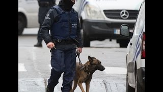 K9 Diesel RIP  France  Paris  RAID  video Special Forces France K9