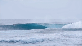 Wetting The Beak - South Coast Winter