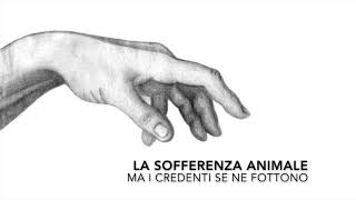 023 - LA SOFFERENZA ANIMALE