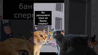 Котика уволили с работы #прикол #мемныекоты #котики #shorts