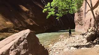 L: Zion NP Beautiful Days