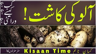 Aloo ki kasht ka tarika in urdu aloo ki kasht ka mosam aloo ki kasht in pakistan Kisaantimeکسان ٹائم