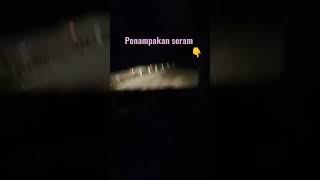 Penampakan #shortsfeed #shortviral #shortvideo