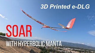 Soar with Hyperbolic Manta (Dawn Patrol)