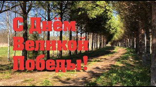 #19. День Победы! Первое посаженное дерево. [Жизнь на своей земле]