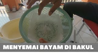 Cara sederhana menanam bayam hidroponik