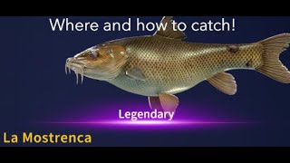 How to catch La Mostrenca. (10-1-24)