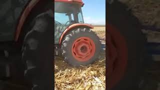 Tarlada herşey serbest | kubota M9540 nadas sürümü #farming #agriculture #shorts #kubotam9540