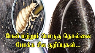 பேன் மற்றும் பொடுகை போக்கும் குறிப்புகள் | Dandruff Home Remedy in Tamil