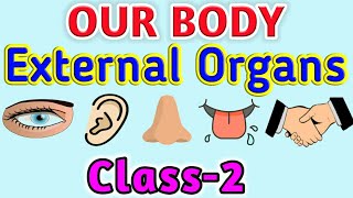 Class - 2 OUR BODY External Organs SCIENCE