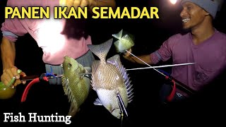 PANEN IKAN BARONANG / SEMADAR JUMBO - NYULUH IKAN MALAM HARI