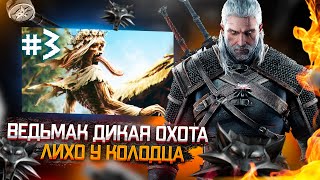 Лихо у колодца ● Прохождение Ведьмак 3: Дикая охота Полное издание #3