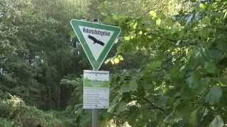 Wandern mit der Rheinbahn: Von Gerresheim nach Rath