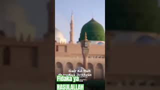 Syed Hassan Ullah Hussani || Koi Dunya e Ata Main || New Naat 2021 ||