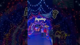 Hazaribag decorations #youtubeshorts #hazaribagh #shortvideo