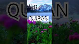 Surah Al A'raf Ayat No 26-28 urdu translation #shorts#video #islamic#reels