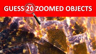 Can you guess 20 zoomed objects? | Zoom game | Game show | Zoomed guessing game