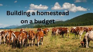 Building a homestead on a budget