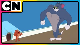 Tom & Jerry 😺🐭| Just Cat & Mouse Things | #tomandjerry | Funny Cartoons | @cnindia