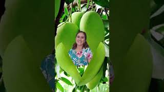 Wow green mango Fruits   #amazing #trending #fyp #funny #funnyvideo #shorts