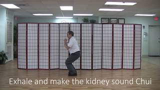 Medical Qigong:  Chui Sound for the Kidneys