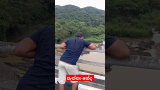 පැන්නා නේද දෙයියනේ #shortvideo