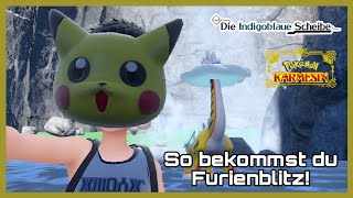 So bekommst du Furienblitz! Pokemon Karmesin & Purpur DLC die Indigoblaue Scheibe