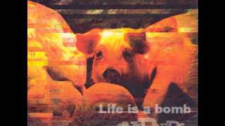 Life is a bomb - One Bad Pig