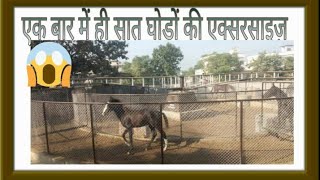 Horse full Excise Ak saat m 6 horse run karte h