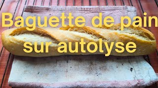 BAGUETTE DE PAIN SUR AUTOLYSE