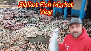 How To Buy Fish | Sialkot Fish Market | Machli Mandi Vlog