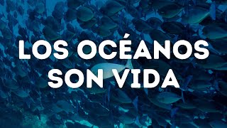 Los océanos son vida 🌊 Caso de éxito en México, Nigeria y Mauricio