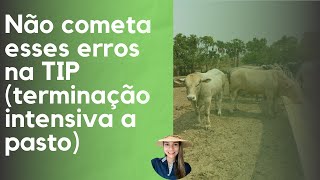 NÃO COMETA ESSES ERROS NA TIP