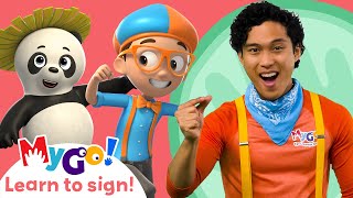 Learn Sign Language with Blippi Wonders! | Panda | MyGo! | ASL for Kids