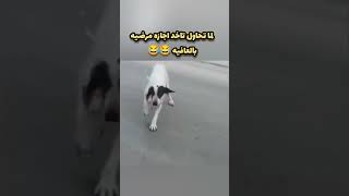 لما تاخد اجازه ب اي طريقه😂