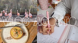 vlog agosto - #asmr, #ParqueBicentenario, envío de cartas 💌 y más