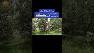 کاکا ملک به باغ رفته سیب میچینه