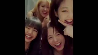 my girls are my comfort zone💓💕#jisoo#jennie#lisa#rose#blackpinm