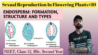 Sexual Reproduction In Flowering Plants#10|Ch-2|Endosperm Formation, Structure And Types