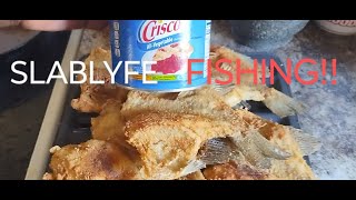 Frying Fish in Lard {Vegetable Shortening} #fypyoutube #explorepage #cooking #fish #yummy