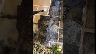 Cleaning Motivation - Power Washing My Garden!